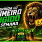 Capa de Artigo sobre detalhes sobre o ponto de desempate do MuralGamer REWARDS.